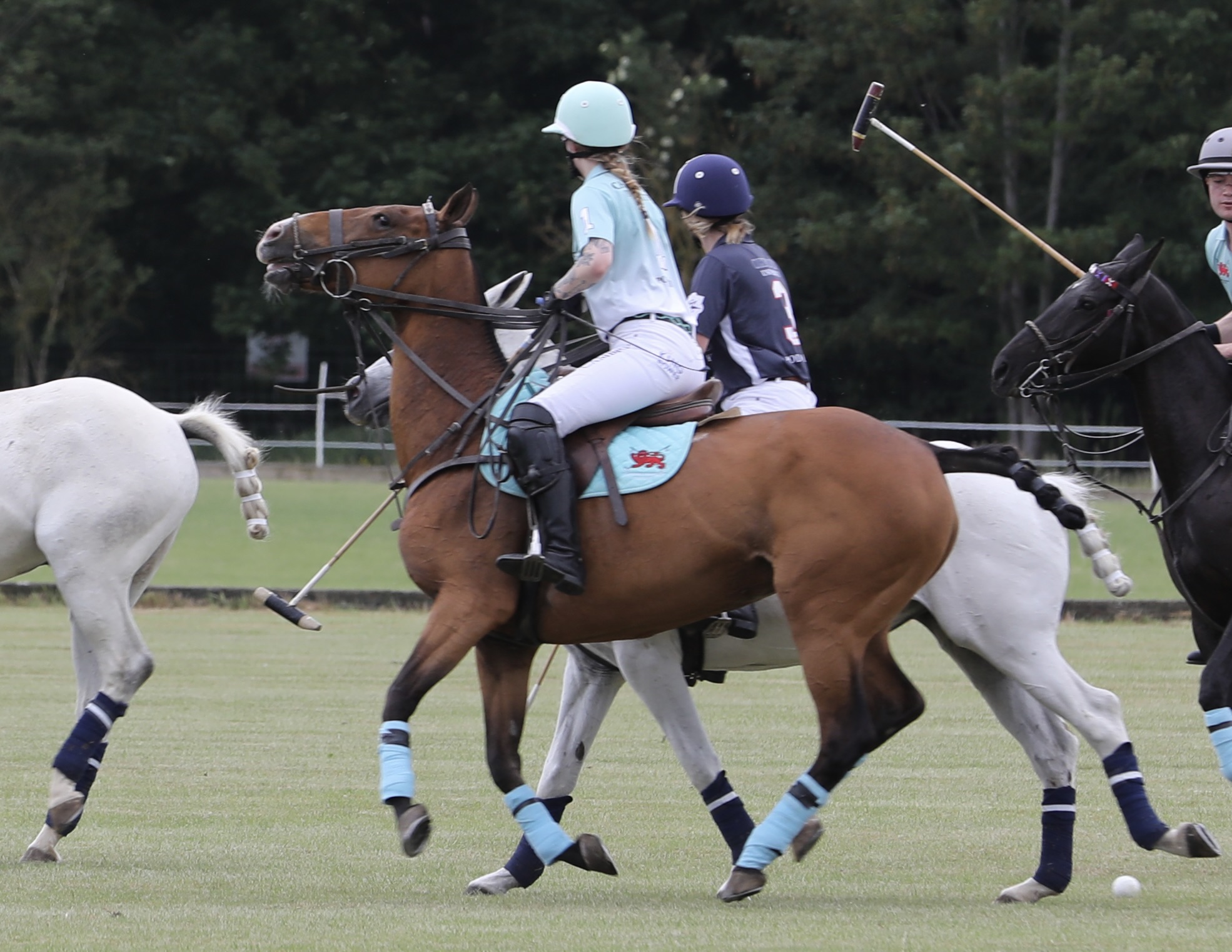Polo action 2