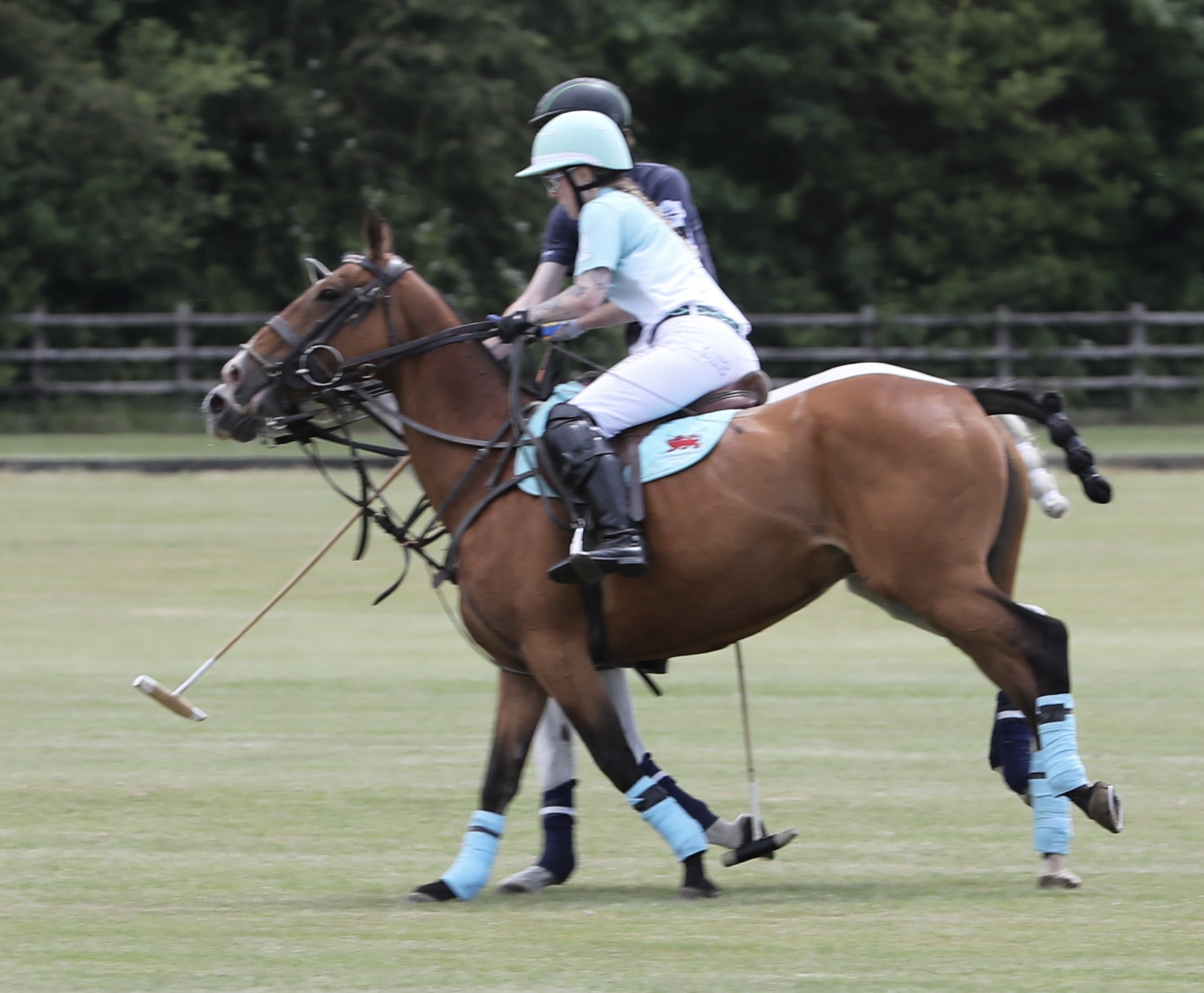 Polo action 3
