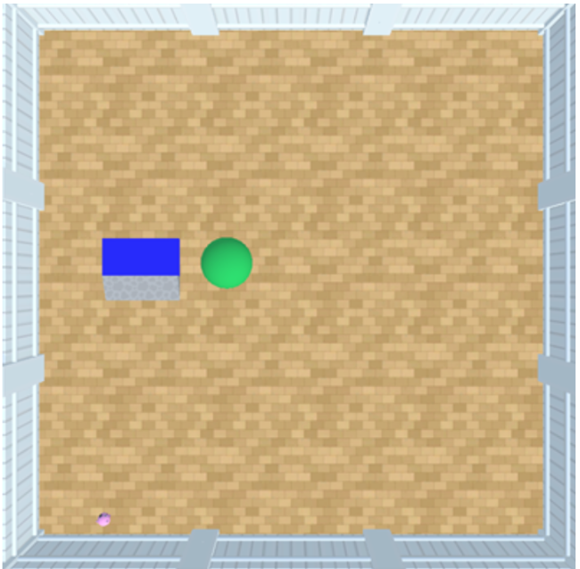 AnimalAI environment